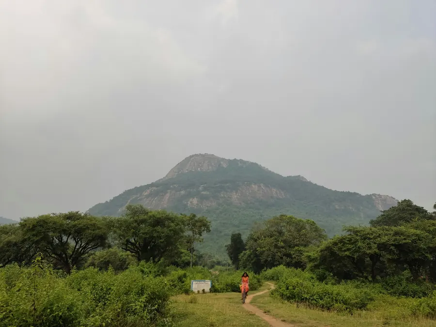 Facts About Jaldapara