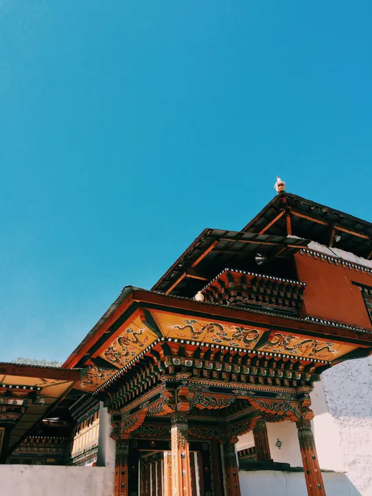 Land of the Thunder Dragon(Paro to Paro)