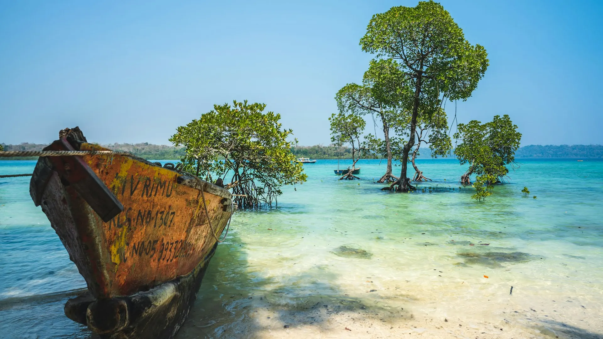 Turquoise water and mangroves in the Andaman Islands