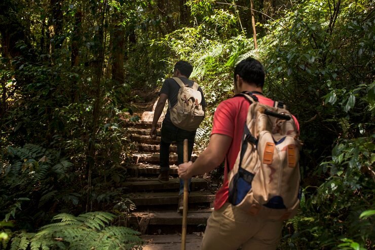 Trekking