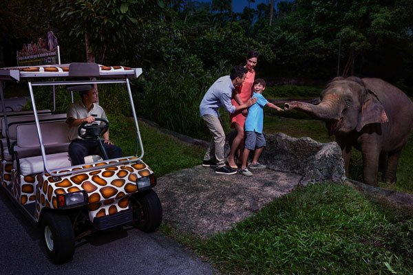 Night Safari