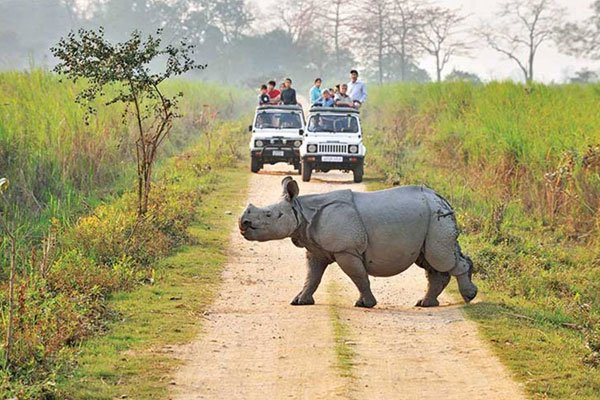 Jeep Safari