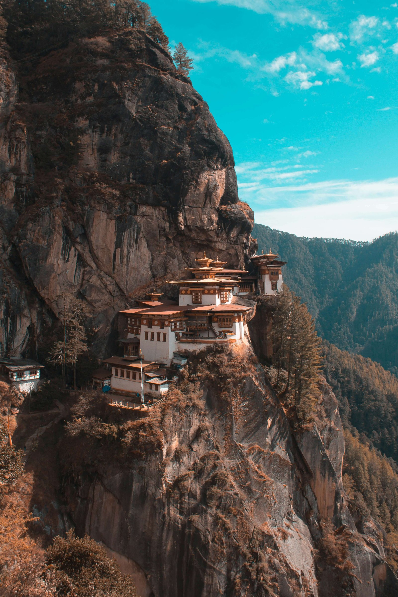 Happiness Is A Place (Hasimara to Hasimara)