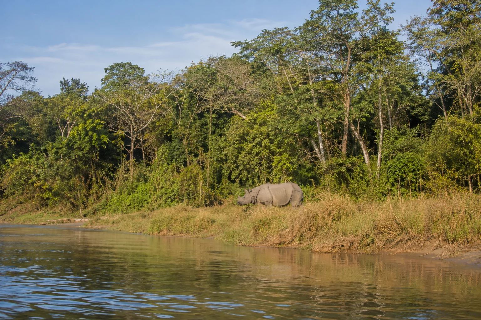 Grassland and forest at Chitwan National Park, Nepal
