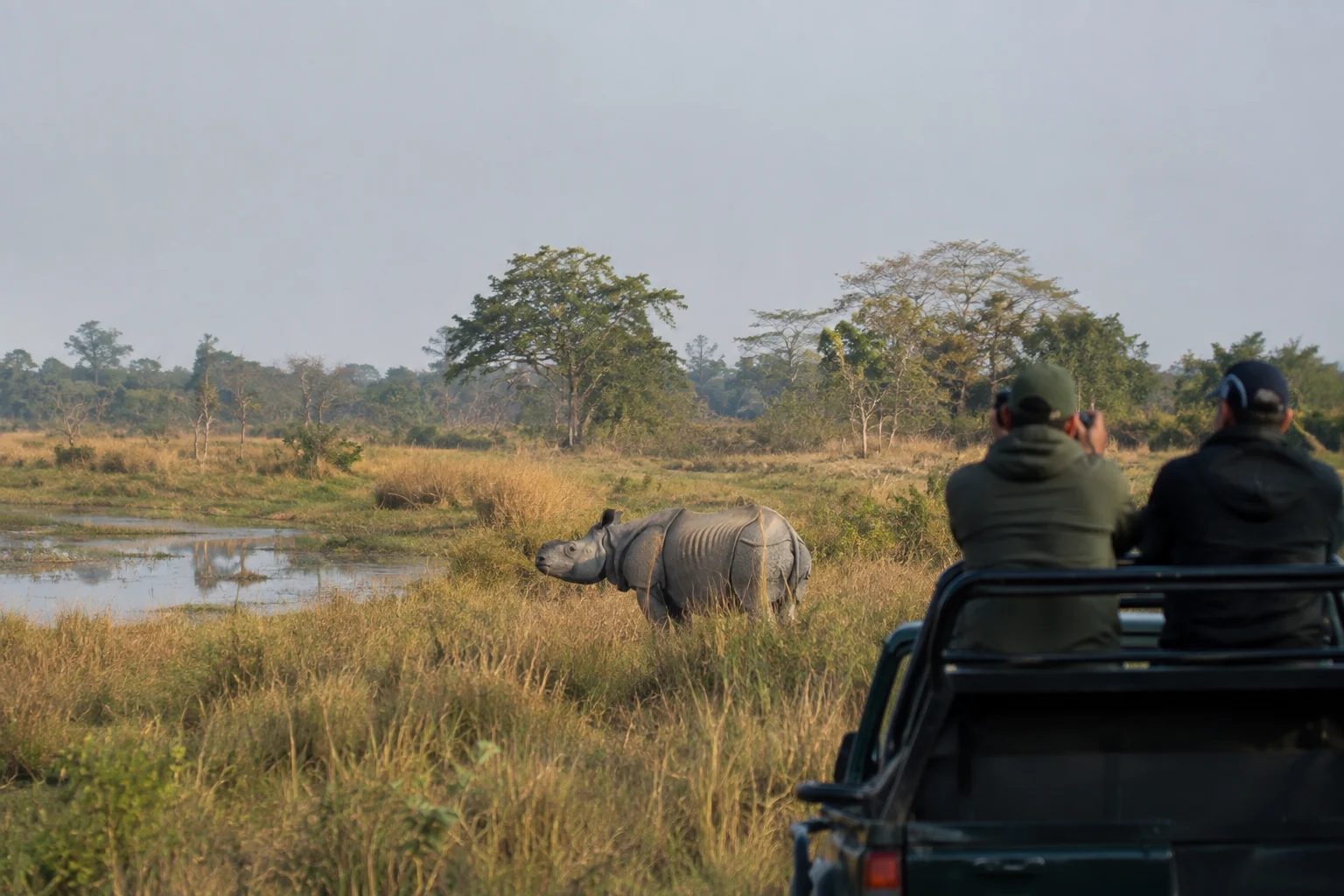 One-horned rhino country at Kaziranga National Park, Assam
