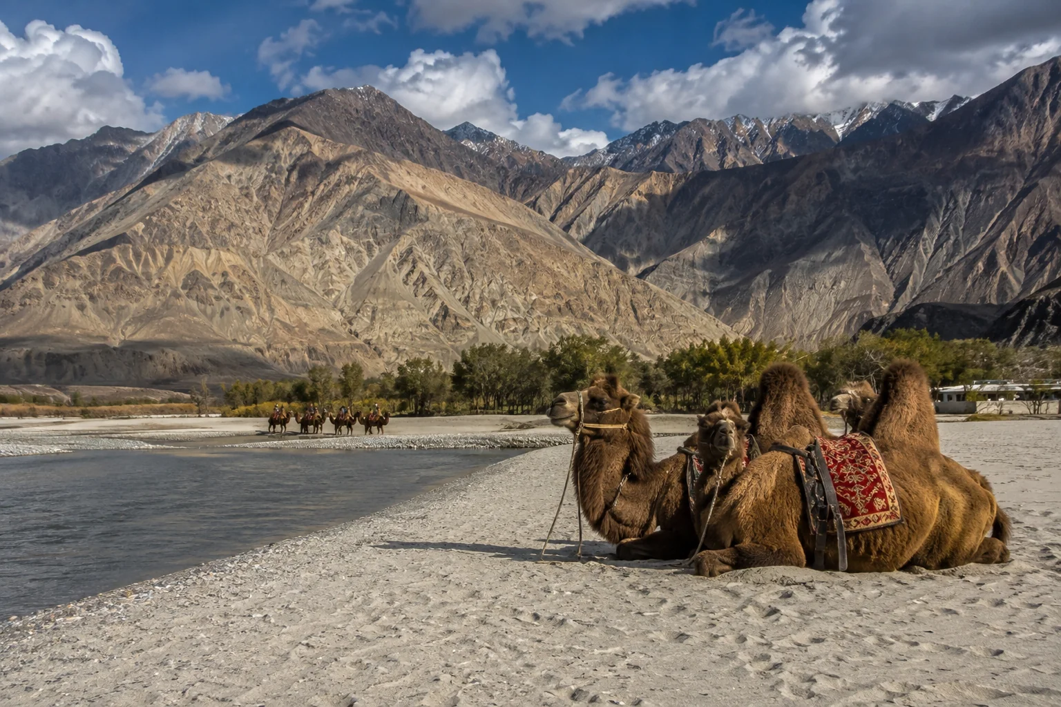 The dunes and mountains of Nubra Valley, Ladakh